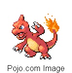 CHARMELEON