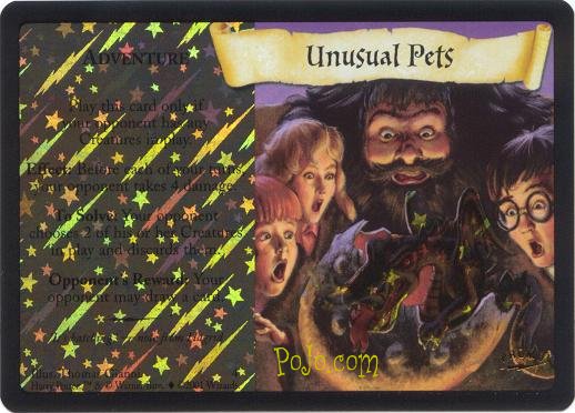 League Promo #4 - Unusual Pets
