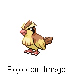 PIDGEY