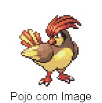 PIDGEOTTO