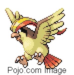 PIDGEOT