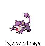 RATTATA