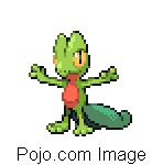 TREECKO