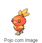 TORCHIC