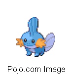 MUDKIP