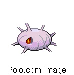 CASCOON