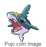 SHARPEDO