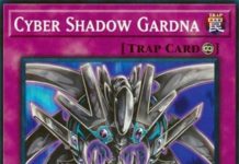 Cyber Shadow Gardna