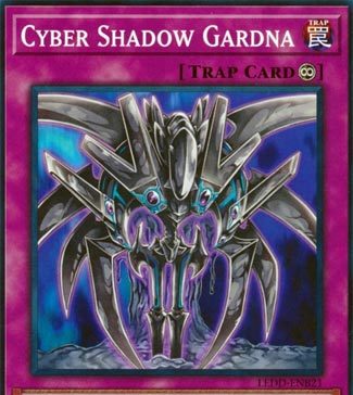 Cyber Shadow Gardna