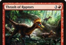 Thrash of Raptors