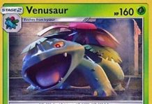 Venusaur Shining Legends