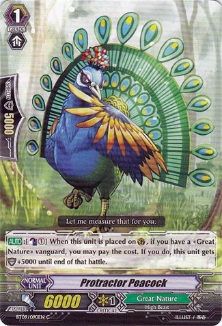 Protractor Peacock