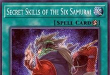 Secret Skills of the Six Samurai