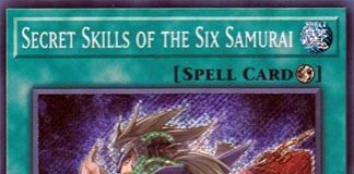 Secret Skills of the Six Samurai