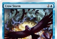 Crow Storm