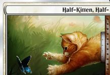 Half-Kitten