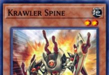 Krawler Spine