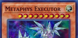 Metaphys Executor