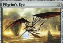 Pilgrim's Eye