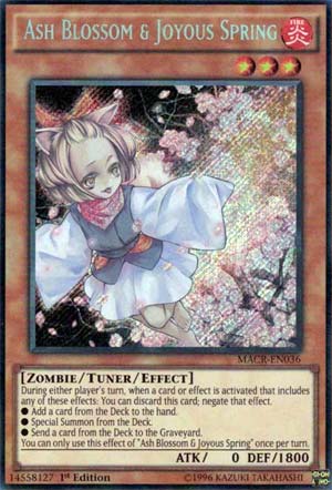 Ash Blossom & Joyous Spring