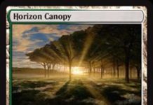 Horizon Canopy