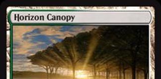 Horizon Canopy