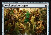 Awakened Amalgam