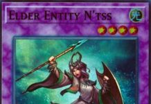 Elder Entity Ntss