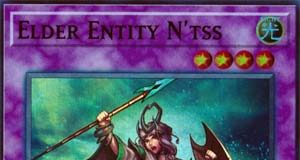 Elder Entity Ntss