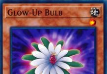 Glow-Up Bulb