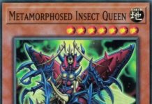 Metamorphosed Insect Queen