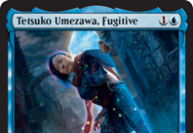 Tetsuko Umezawa, Fugitive