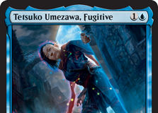 Tetsuko Umezawa, Fugitive