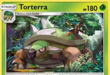 Torterra