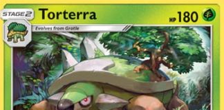 Torterra