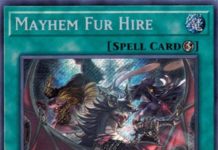 Mayhem Fur Hire