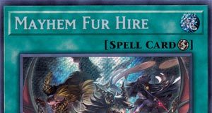 Mayhem Fur Hire