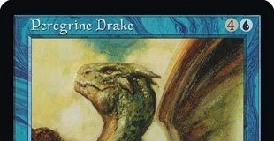 Peregrine Drake
