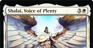 Shalai, Voice of Plenty