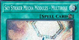 Sky Striker Mecha Modules - Multirole