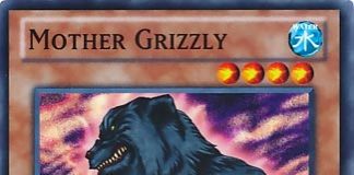 Mother Grizzly
