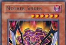 Mother Spider