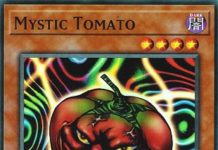 Mystic Tomato