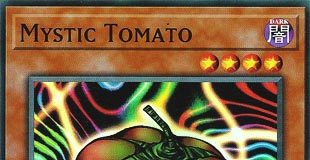 Mystic Tomato