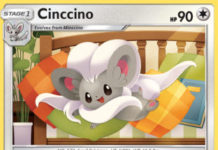 cinccino