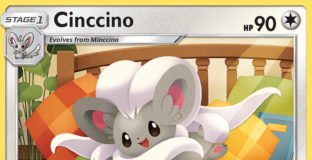 cinccino