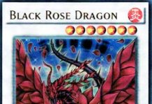 Black Rose Dragon