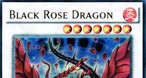 Black Rose Dragon