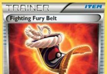 Fighting Fury Belt