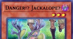 Danger!? Jackalope?